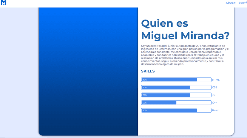 Portfolio example